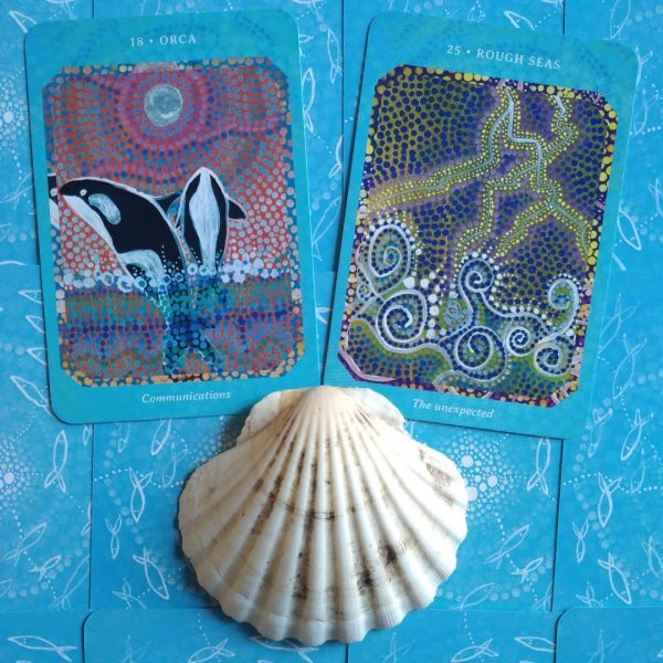Saltwater-Reading-Cards-7