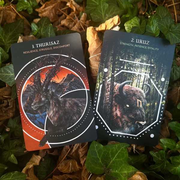 Animal-Guide-Rune-Cards-12