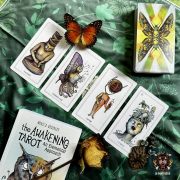 Awakening-Tarot-13