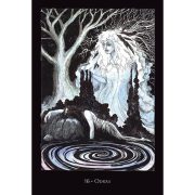 Call-of-the-Morrigan-Oracle-7