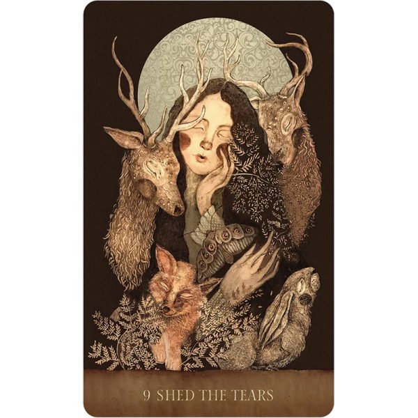 Dream-Song-Oracle-5