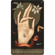 Dream-Song-Oracle-6