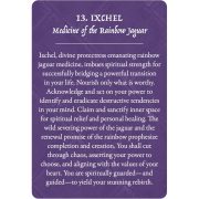 Earth-Warriors-Oracle-Pocket-Edition-7