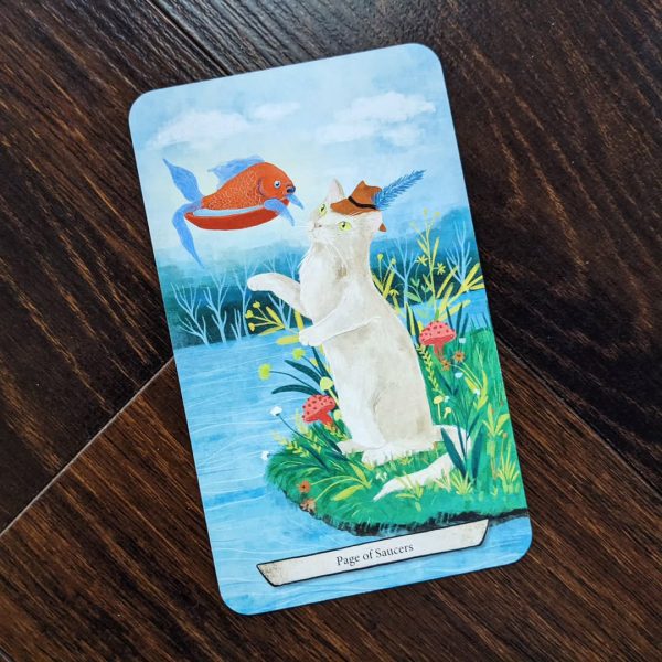 Enchanted-Forest-Felines-Tarot-11