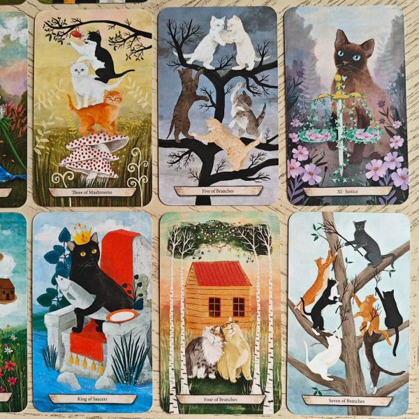 Enchanted-Forest-Felines-Tarot-13