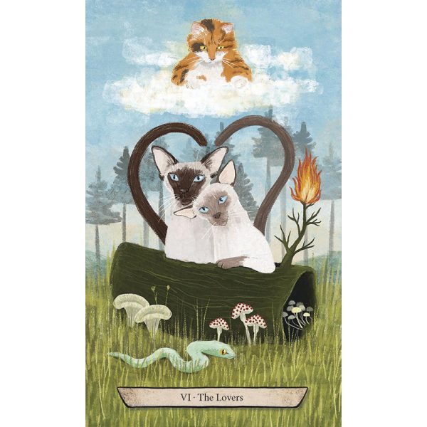 Enchanted-Forest-Felines-Tarot-4