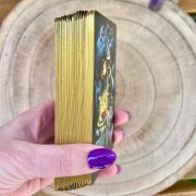 Fairy-Tale-Journey-Tarot-7