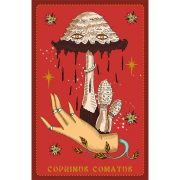 Herbarium-Oracle-Cards-2