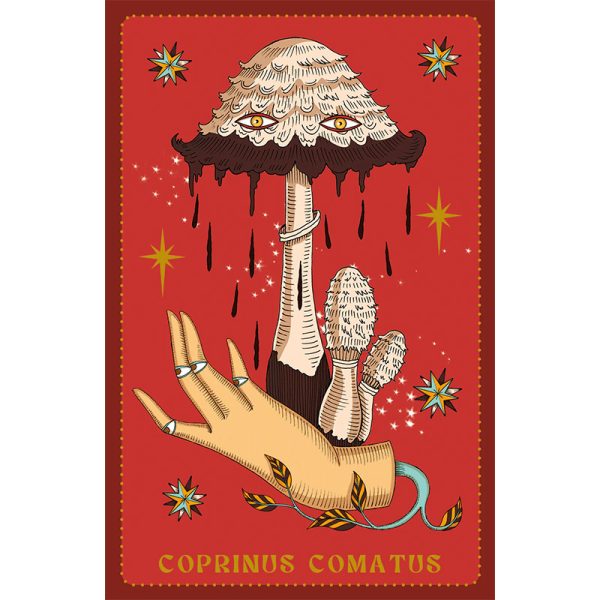 Herbarium-Oracle-Cards-2