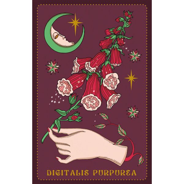 Herbarium-Oracle-Cards-3