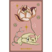 Herbarium-Oracle-Cards-4