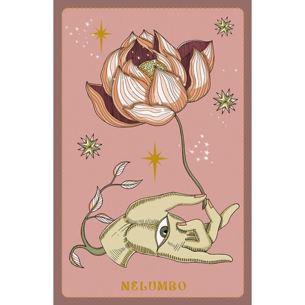 Herbarium-Oracle-Cards-4
