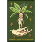 Herbarium-Oracle-Cards-6
