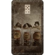 Legend-of-the-Wizad-Laird-Lenormand-3