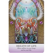 Light-Code-Apothecary-Oracle-8