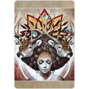Medicine-Heart-Oracle-Pocket-Panda-Edition-8