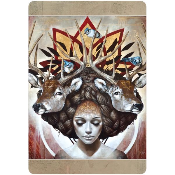Medicine-Heart-Oracle-Pocket-Panda-Edition-8
