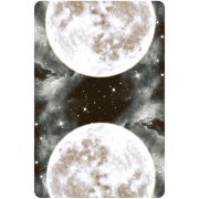 Moon-Temple-Oracle-10