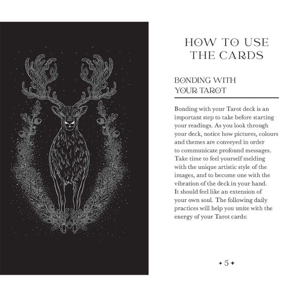 Oriens-Animal-Tarot-Pocket-Edition-10