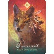 Spirit-Animal-Oracle-17