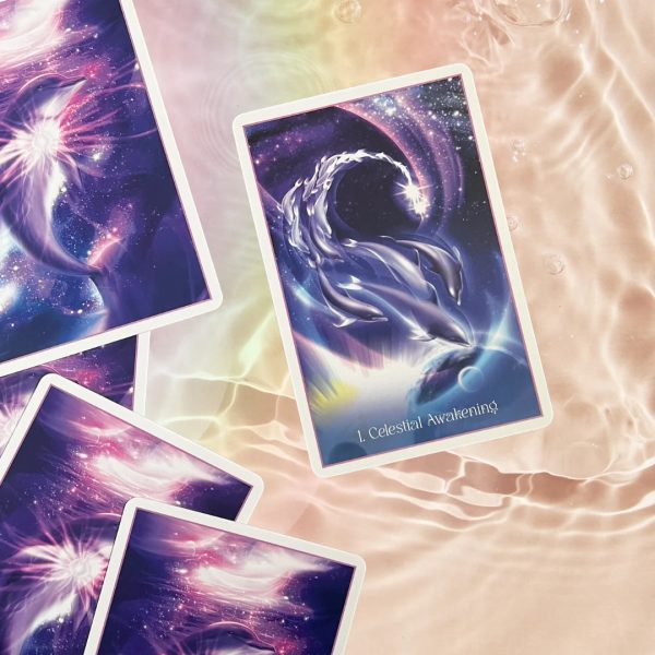 Whispers-of-the-Dolphin-Heart-11