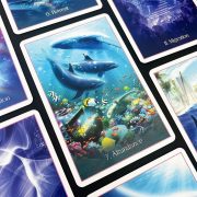 Whispers-of-the-Dolphin-Heart-12
