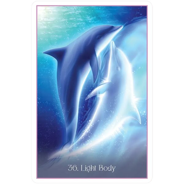 Whispers-of-the-Dolphin-Heart-2