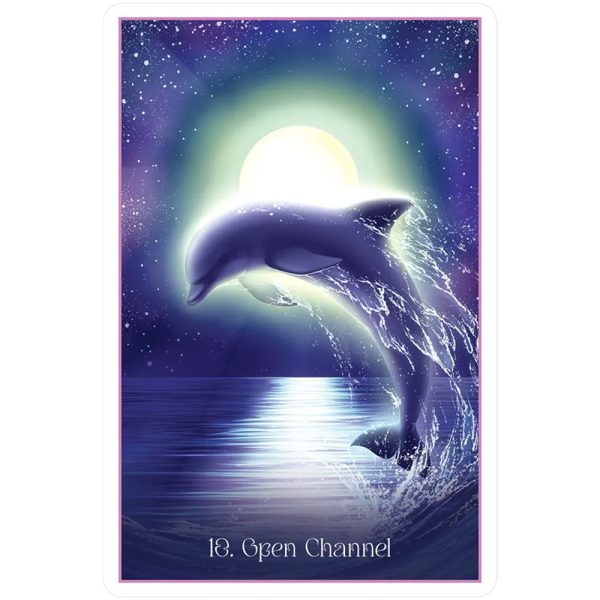 Whispers-of-the-Dolphin-Heart-4