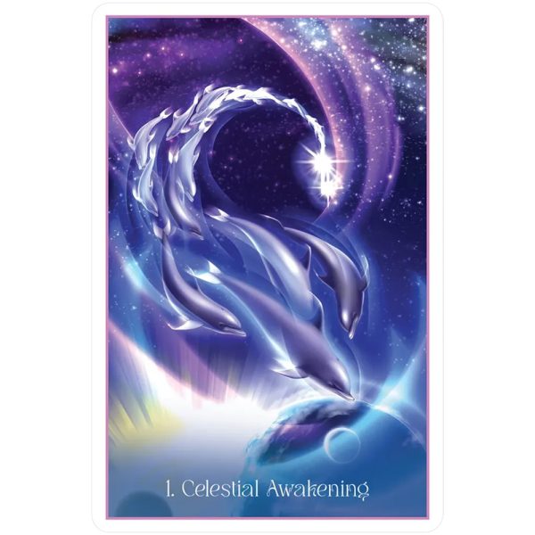 Whispers-of-the-Dolphin-Heart-7